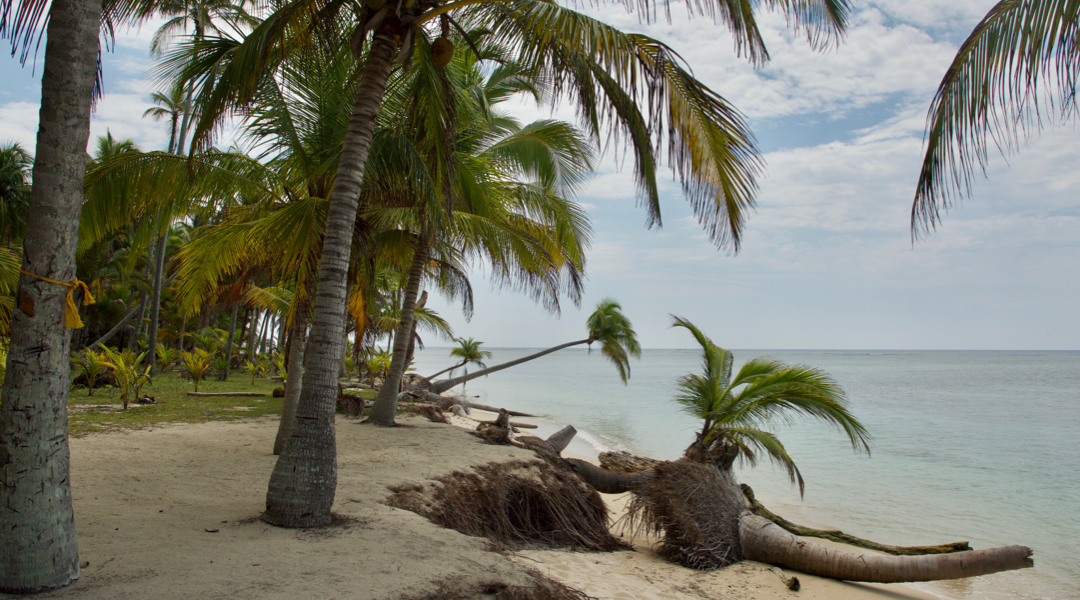 Isla Lobos, un tesoro de Veracruz