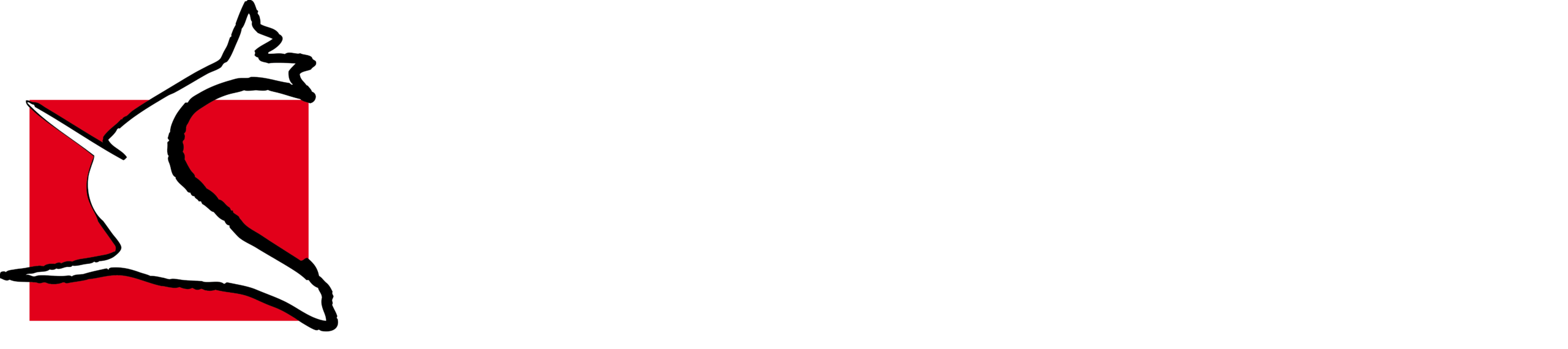 Puerto Lobos